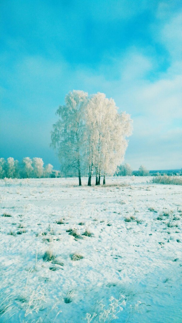 Frosty day in Siberia - Longpost, beauty of nature, Winter, Tyumen region, Western Siberia, Beginning photographer, My