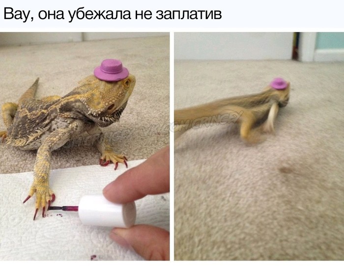 Не заплатив