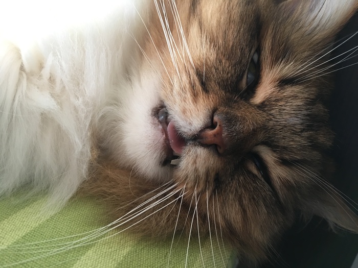 ���� ��� ������ ���