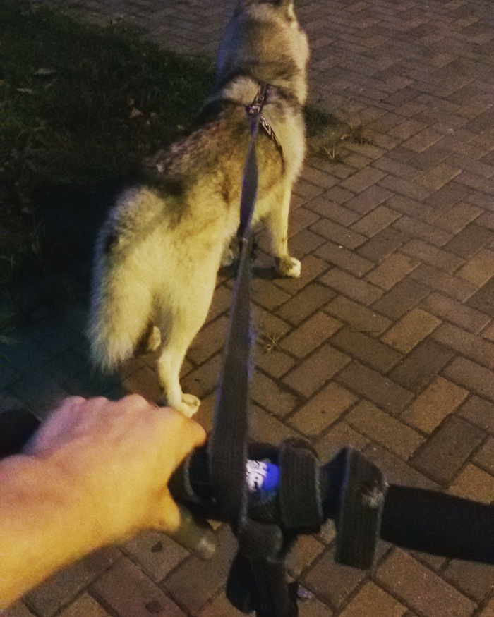 ����� � ��������� ��� ��������� ������ =D