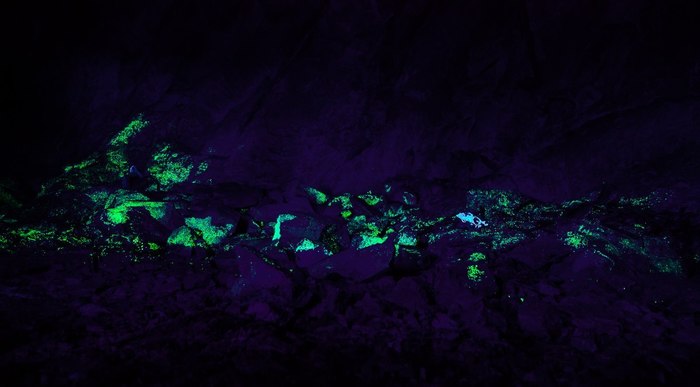 Урановые штольни Бештау. длиннопост, Бештау, урановый рудник, люминесценция