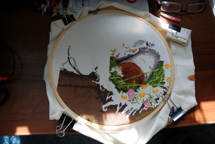 Summer Dessert (in progress) - My, Needlework, Needlework without process, Embroidery, Chamomile, Strawberry, Flowers, Plants, Strawberry (plant)