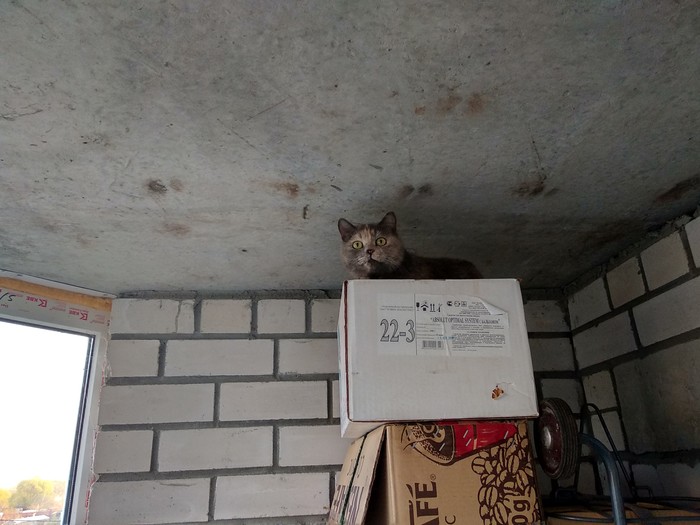   , , 