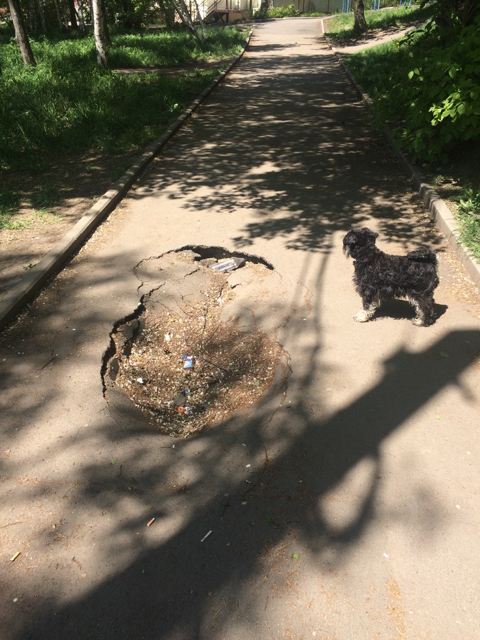 ������ ������ ��� ��������� �������. ���, ������������������, �������, ��������� �������, �������, ���������� ����������, ������������, ����������