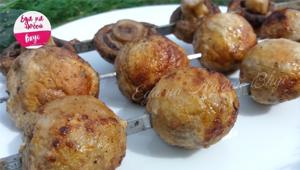 Juicy champignons on the grill - My, Champignon, Shashlik, Brazier, Snack, Yummy, Video recipe, Food, Cooking, Video