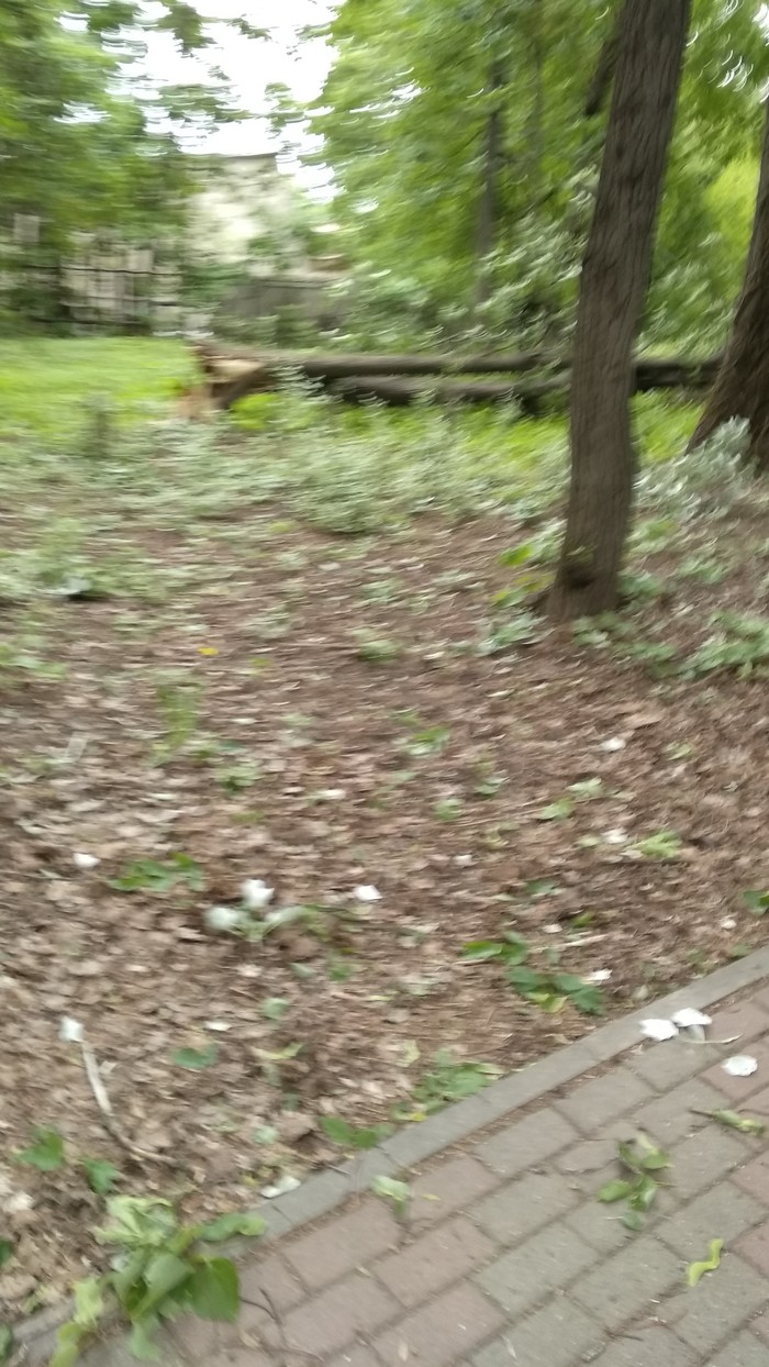      , , , , 