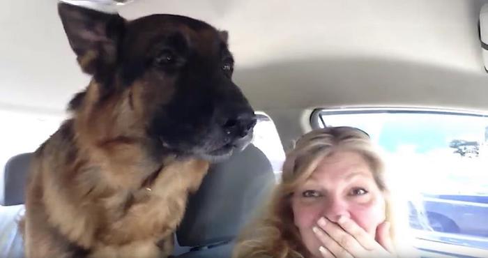 �������� ������� �������� ��������, ��� ���� � ����������!