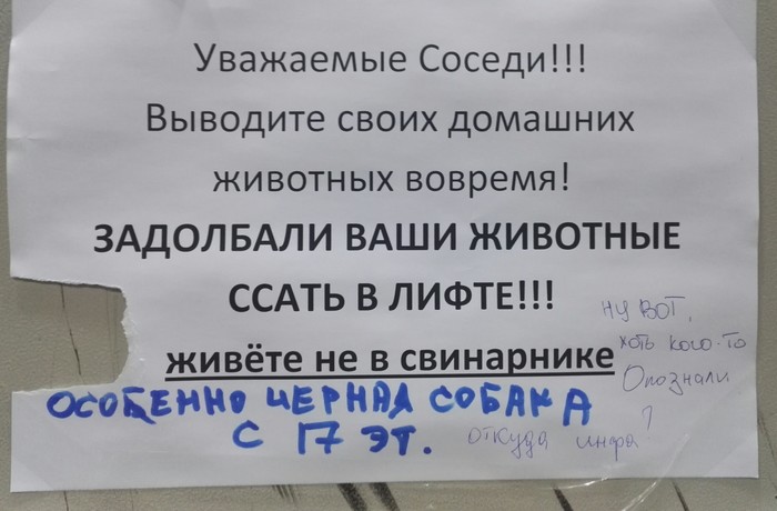 Мужик дал сучке лизать очко в лифте и трахал ее в попку