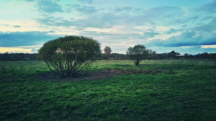 hare pasture - Beginning photographer, My, beauty of nature, Western Siberia