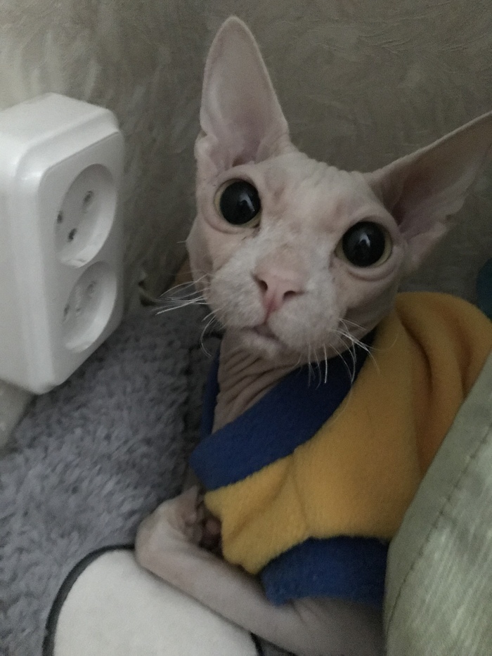 Инопланетяне среди нас