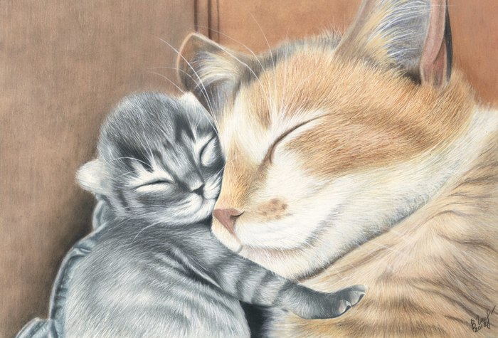 Drawing with colored pencils - My, Art, Vera Izotova, Drawing, cat, Colour pencils, Animals, Young