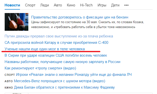 No wonder they say: how w @ p @ y smelled ...))) - news, Mail ru news, ribbon, Brain