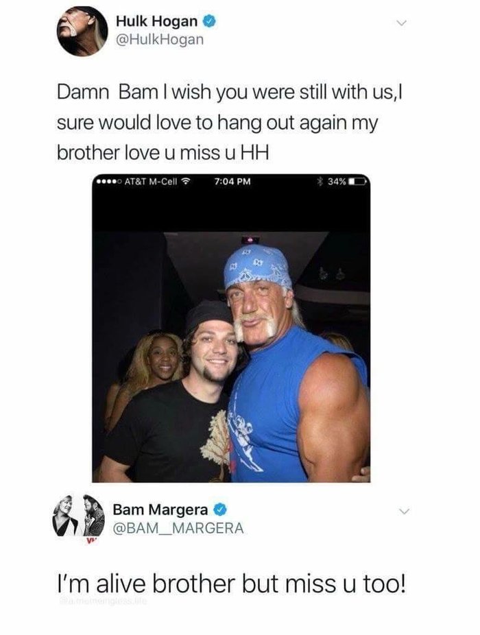 Hulk Hogan paid tribute to the late Bam Margera on Twitter. - Hulk Hogan, Freaks, Reddit, , Bam Margera