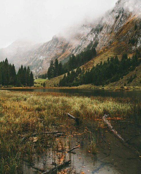 Somewhere in Switzerland - Nature, The mountains, Privacy, Calmness, Longpost