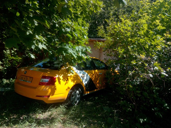 Yandex - taxi parked on the lawn - My, Yandex Taxi, I park where I want, Неправильная парковка, Cattle, Violation of traffic rules, Longpost