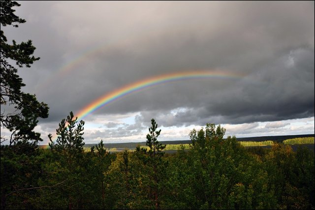 Rainbow