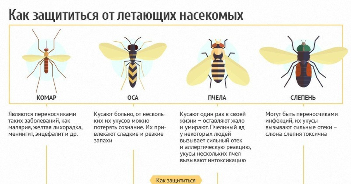 Что нужно делать при укусе осы