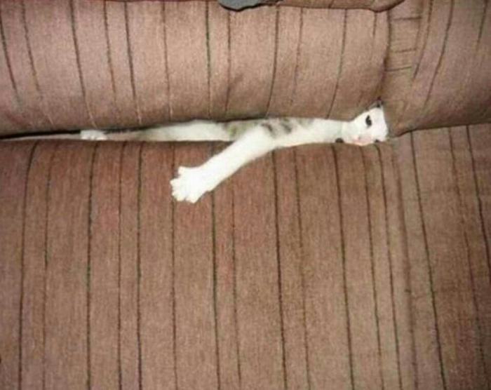    , , ,  , , 