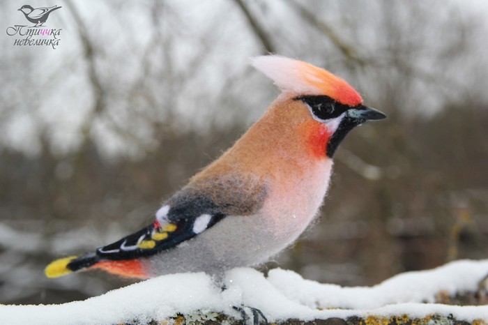 Waxwing. Dry felting. - My, Birds, Wallow, Dry felting, Needlework without process, Needlework, Creation, Ornithology, With your own hands, Longpost