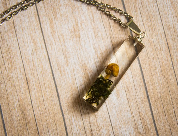 ������� � ��������� � ������� ����