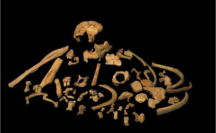Predecessor in the teeth. Remains of Homo antecessor directly dated - Anthropogenesis, Xx2th century, Archeology, Archaeological finds, The science, Longpost