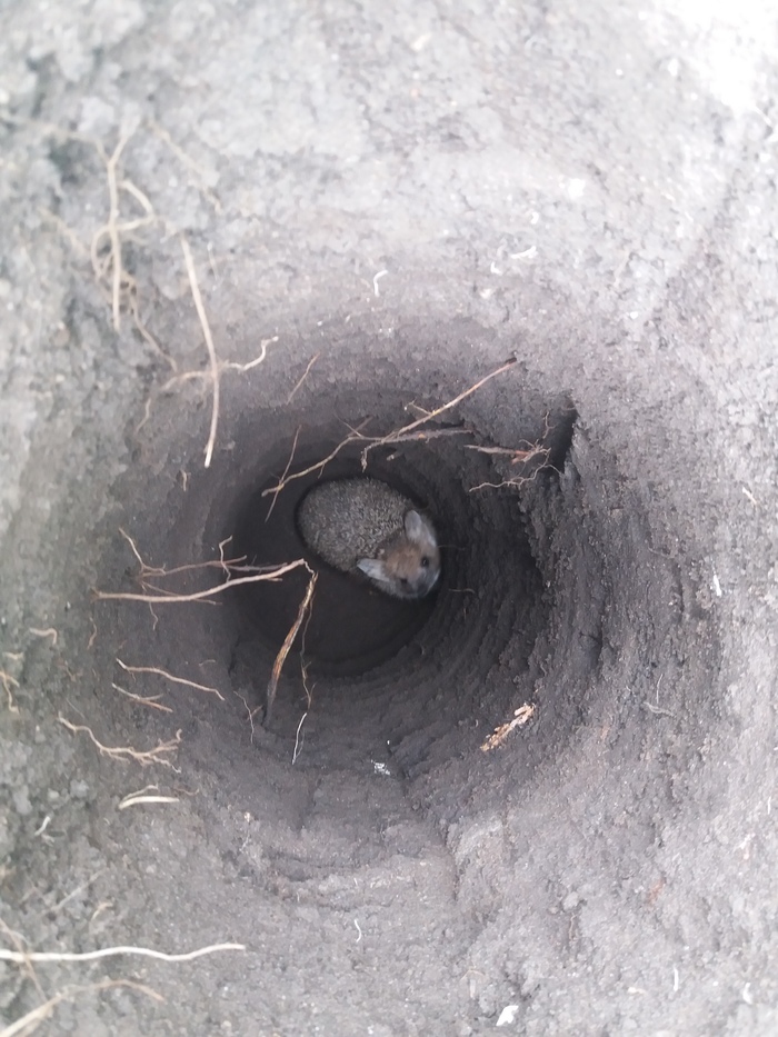 �������� �������� �����. ����, ��������, ����������, ���