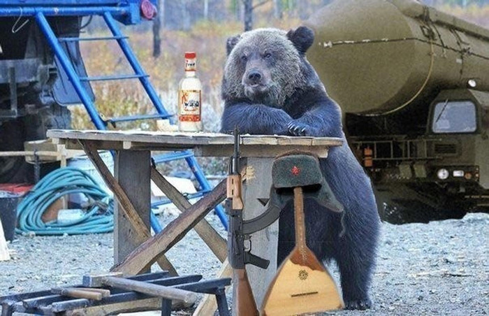 Russia will launch a bear into space - Direct line with Putin, Space, The Bears, , Dobroflot, Go, Roscosmos