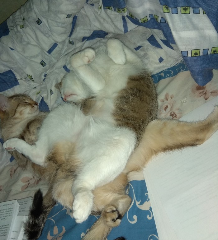 ����� ������� � �����, ��� ����� ����, �� ���� ����� �������� ����)