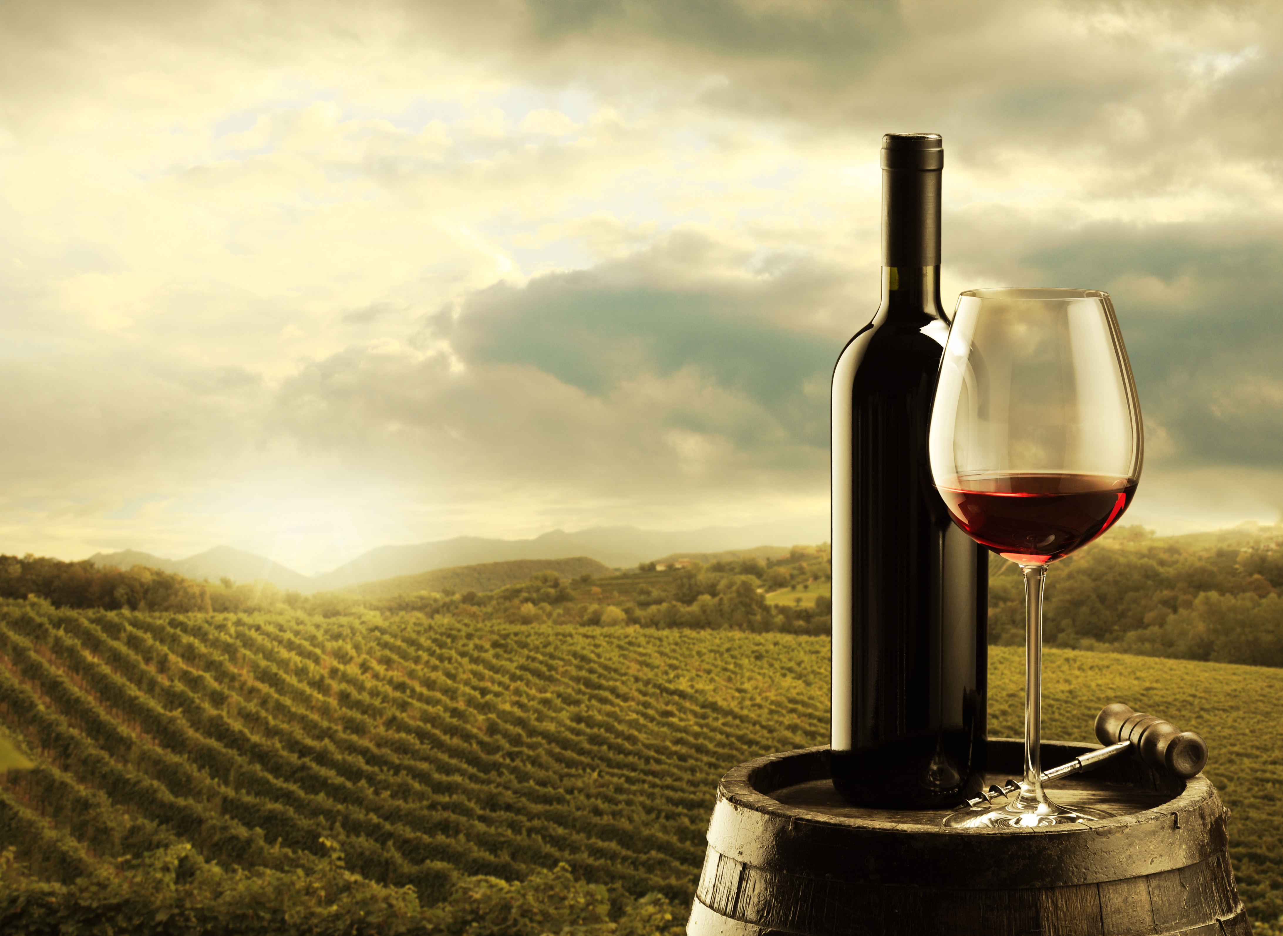 Вторая половина вина. Винодельни Тосканы. Супертосканские вина. Шато Андре винодельня. Бутылка вина.
