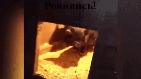 Ровняйсь! Смирно!
