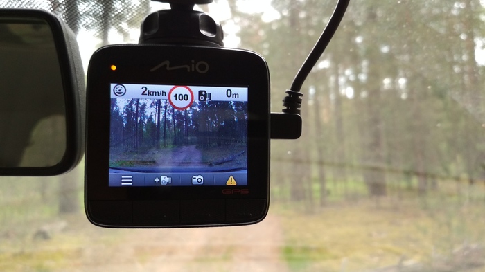 need for speed - My, Speed, Forest