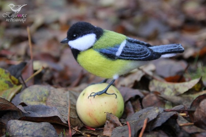 Tit. Dry felting. - My, Dry felting, Needlework without process, With your own hands, Creation, Birds, Tit, Handmade, Longpost