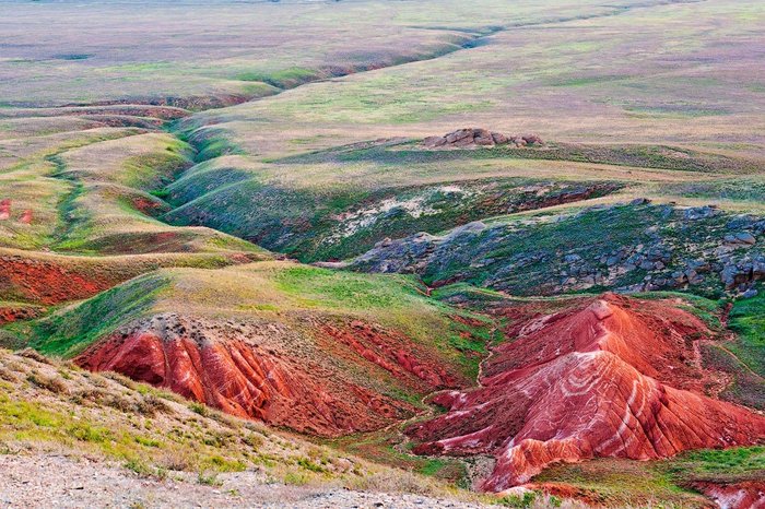 Astrakhan region. - Russia, Travels, The mountains, Nature, Tourism, Interesting, The nature of Russia, Longpost