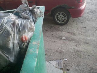 And 2 more hours of life)) - My, Garbage, Chistoman, Pskov, Longpost