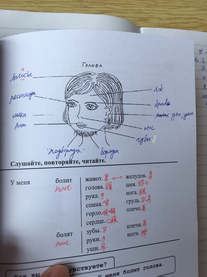 Oh shit. What are you? - My, Textbook, What's this?