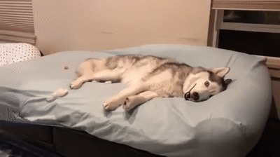 Я каждым утром
