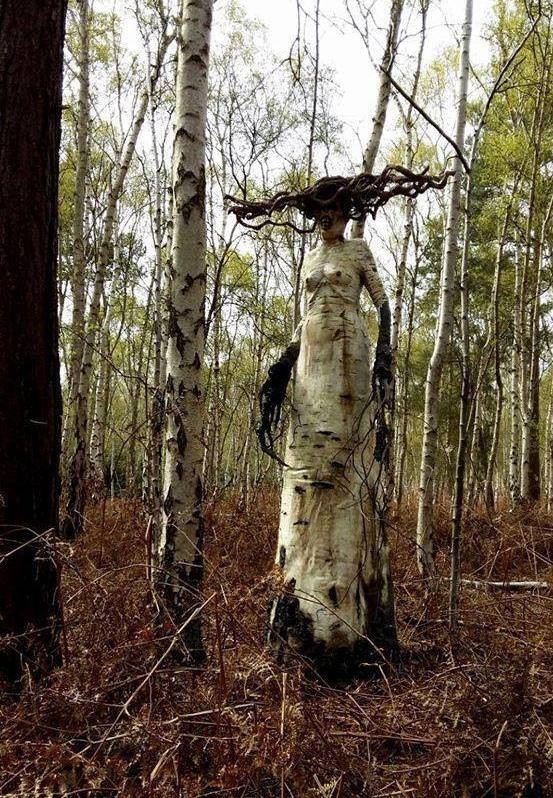 birch witch - The photo, Birch