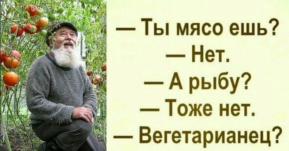 Тоже нет. Смешные фразы про пенсионеров. Пенсионеры юмор. Позитивные шутки про пенсию. Цитаты про пенсионеров.