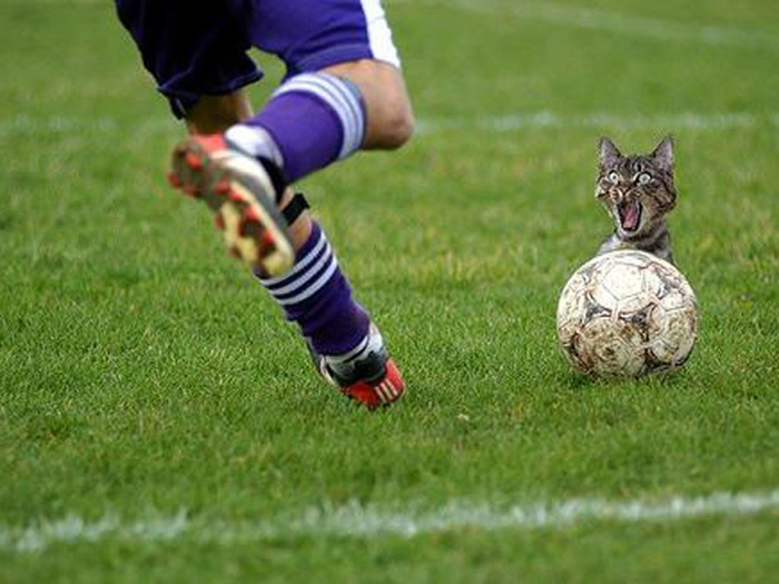 Gooooool! - Russia, Saudi Arabia, Football