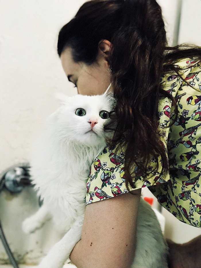 Bathing a cat. - My, cat, Vet clinic, Longpost, cat house, Animal shelter, Bathing, In good hands, Bathing