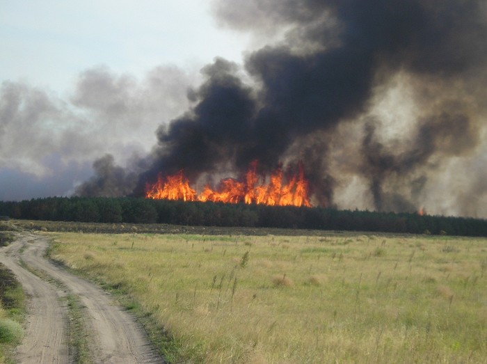 Voronezh Summer 2010 - My, Fire, Summer, , Voronezh, Longpost