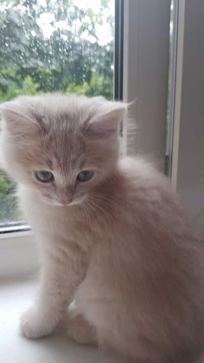 � ������ ����