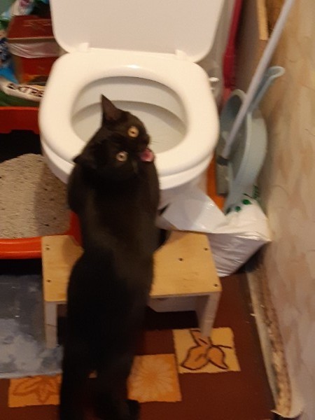 Придумайте название