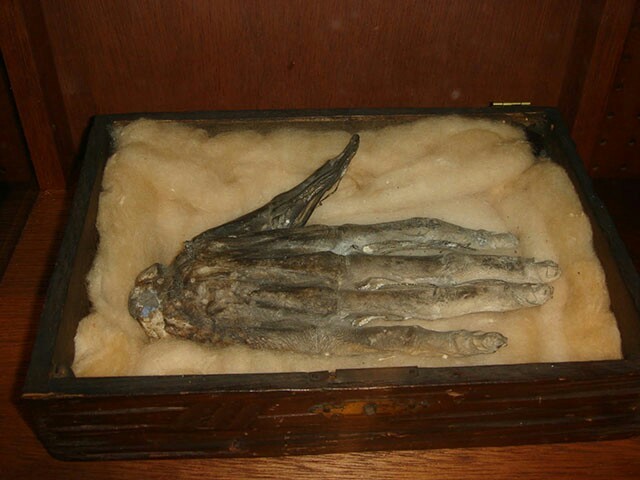 Hand of Glory - Middle Ages, Story, Harry Potter, Longpost