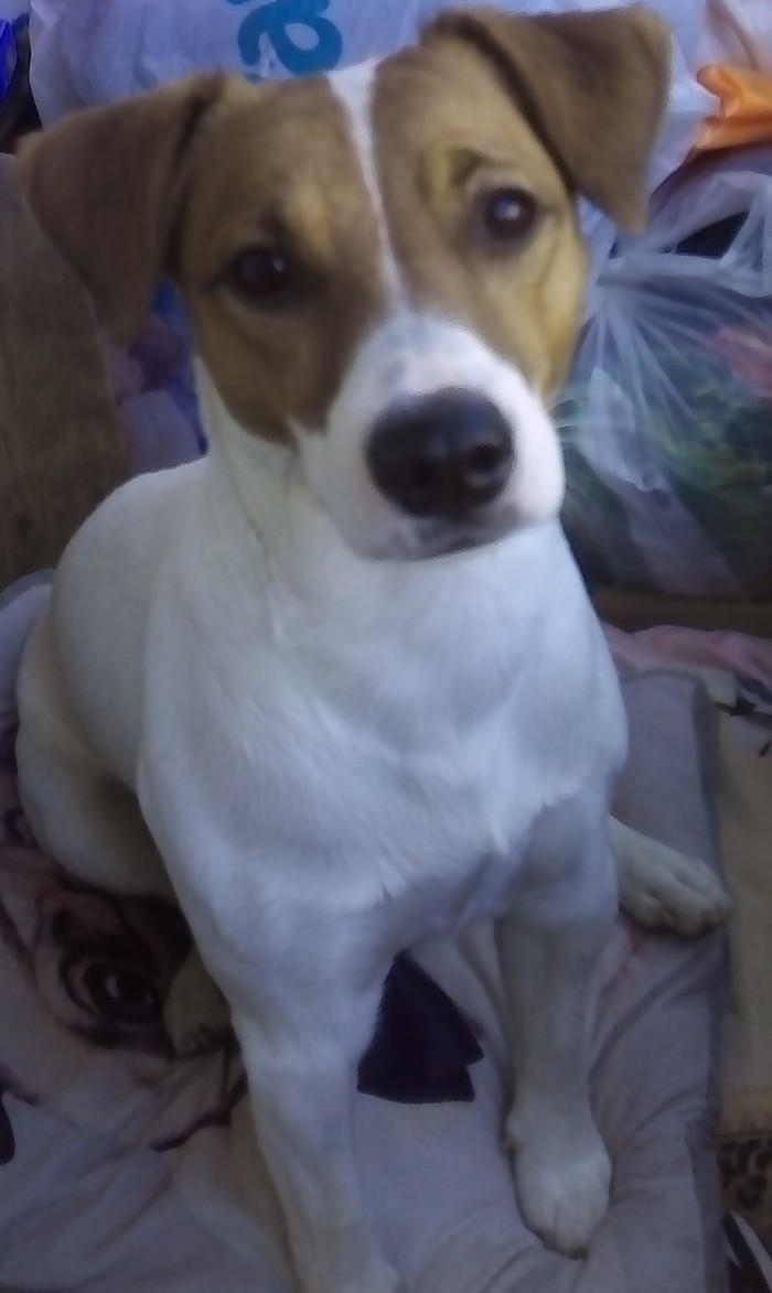 ������ �� ��������)