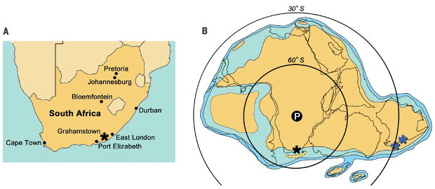 Paleontologist discovers the remains of the oldest African tetrapods that lived beyond the Arctic Circle - My, Paleontology, The science, Biology, Animals, Longpost, Paleonews