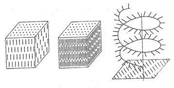 Physics of liquid crystals - My, Physics, Longpost, Liquid crystals, The science, Education, Diploma, GIF