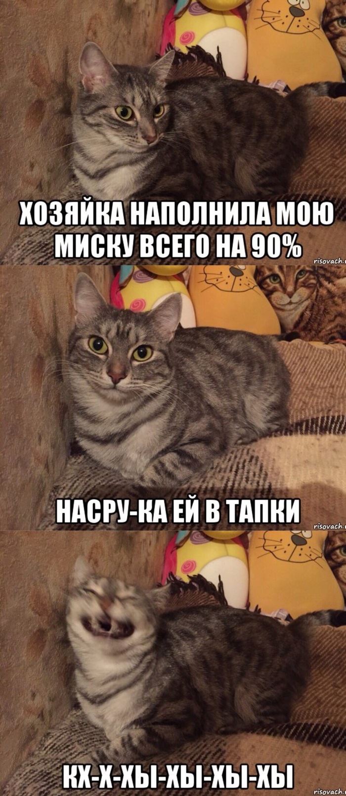     , , , 