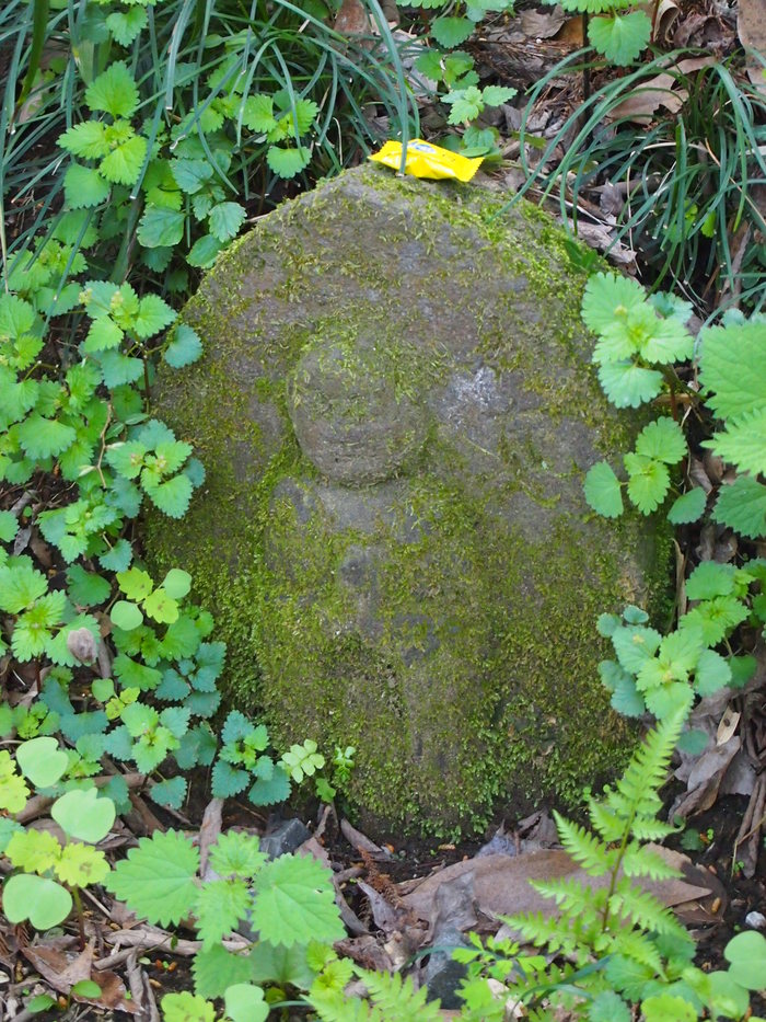 Сакура - город самураев Япония, Путешествия, Длиннопост