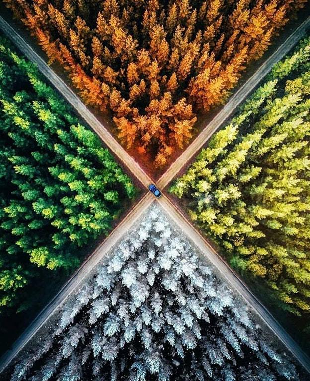 Crossroads - Photoshop, Seasons, Road, Tree